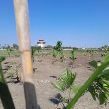 فروش زمین مسکونی 150 متر در بلیران