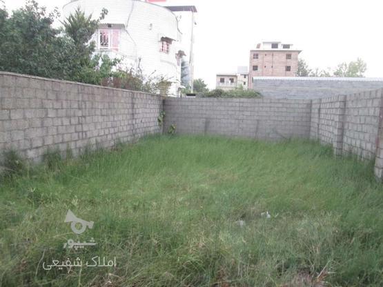 فروش زمین مسکونی 180 متر با 18متر بر در گروه خرید و فروش املاک در مازندران در شیپور-عکس1