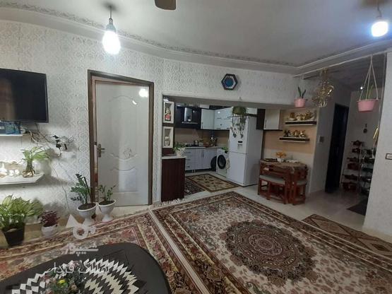 فروش آپارتمان 65 متر در شهید عبدی در گروه خرید و فروش املاک در مازندران در شیپور-عکس1