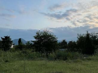 فروش زمین مسکونی 3200 متر در بلوار معلم