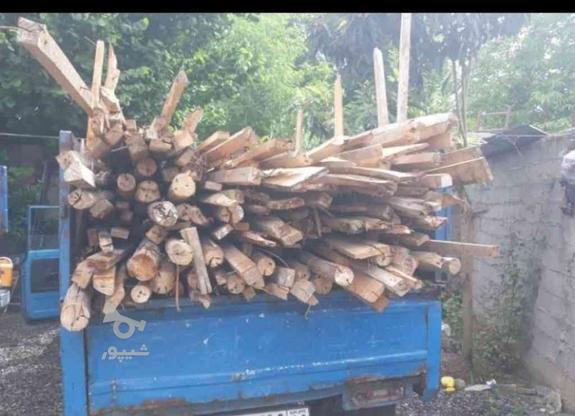 خریدانواع چوب خشک درخت ایرانیت حلب چوب نراد در گروه خرید و فروش خدمات و کسب و کار در گیلان در شیپور-عکس1