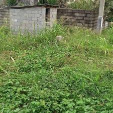 فروش زمین مسکونی 299 متر در مرکز شهر