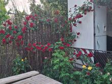 فروش باغچه 450مترجاده احمدآبادنظرآباد در شیپور