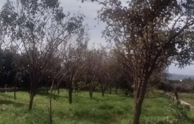 فروش زمین مسکونی 505 متر در مرکز شهر