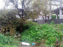 زمین مسکونی 180 متر در امیرمازندرانی در شیپور