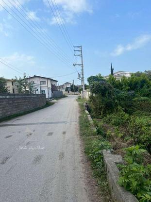 زمین 1200متری بر کوچه اصلی بافت مسکونی آویدر نوشهر در گروه خرید و فروش املاک در مازندران در شیپور-عکس1
