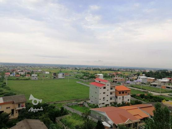 فروش زمین مسکونی 2050 متر در مرکز شهر در گروه خرید و فروش املاک در مازندران در شیپور-عکس1