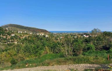 فروش زمین مناسب بوم گردی بام رامسر