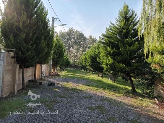 زمین مسکونی 250 متری جنگلی در گروه خرید و فروش املاک در مازندران در شیپور-عکس1