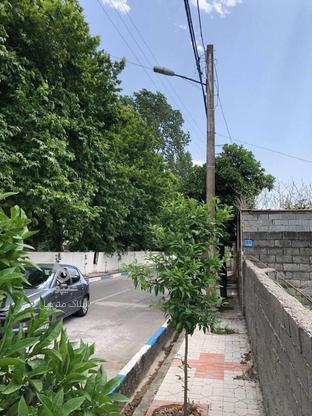 زمین مسکونی 125 متر در مرکز شهر سرخرود در گروه خرید و فروش املاک در مازندران در شیپور-عکس1