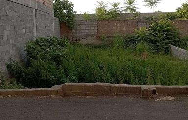 زمین مسکونی 138 متر نزدیک خیابان اصلی