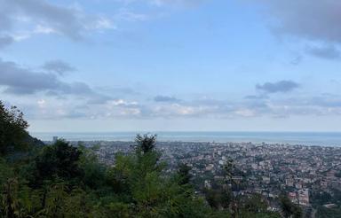 فروش زمین مسکونی 1000 متر در ابریشم محله