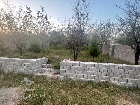 زمین مسکونی 140 متری در منطقه خوش آب و هوای بابلکنار در گروه خرید و فروش املاک در مازندران در شیپور-عکس1