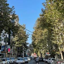 فروش زمین تجاری مسکونی 204 متری در شیشه گران