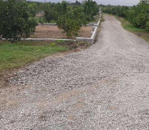 فروش زمین کشاورزی 390 متر در جاده نظامی در گروه خرید و فروش املاک در مازندران در شیپور-عکس1