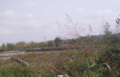 فروش باغ 200 متر در جاده چمستان