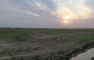 زمین تجاری صنعتی سه هکتاری بندرامیرآباد 30000متر