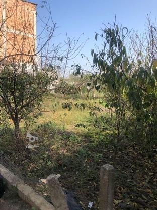 فروش زمین تو‌بافت ابتدای فرح آباد 155 متر در گروه خرید و فروش املاک در مازندران در شیپور-عکس1
