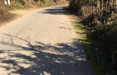 فروش باغ 700 متری در هولار ،گرمرود