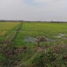 زمین کشاورزی 4,000 متری در جاده اصلی