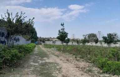 فروش زمین مسکونی 180 متر در نظام آباد