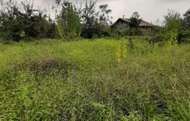 زمین434متری نزدیک در یوسف آباد املش