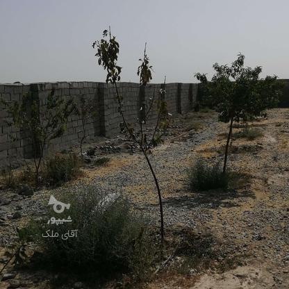 باغچه 410 متری سند دار معاوضه شرایط نگهبانی در گروه خرید و فروش املاک در تهران در شیپور-عکس1