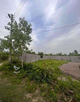 زمین 250متر سنددار بافت پلاک اول در گروه خرید و فروش املاک در مازندران در شیپور-عکس1