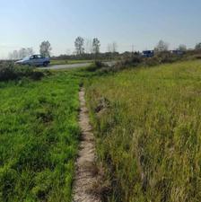 فروش زمین کشاورزی 5500 متر در جاده اصلی