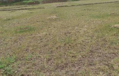 فروش زمین کشاورزی 4000 متر در مرکز شهر