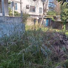 زمین مسکونی 250 متری در مرکزشهر رودسر