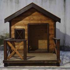 لونه سگ حیاط دار