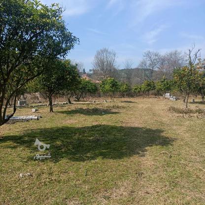 زمین برای سرمایه گذاری در سوادکوه 9800 متر در گروه خرید و فروش املاک در مازندران در شیپور-عکس1