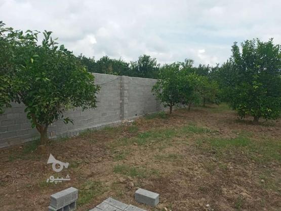 352مترزمین قابل ساخت برای ویلا یا خونه باغ...متری در گروه خرید و فروش املاک در مازندران در شیپور-عکس1