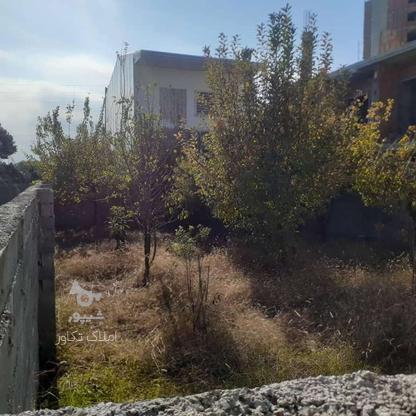 فروش زمین سنددار مسکونی 200 متر در کوی چمران در گروه خرید و فروش املاک در مازندران در شیپور-عکس1