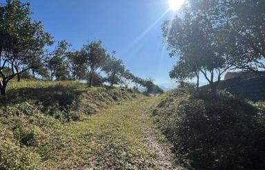 فروش 7500 متر ویو دار/مناسب شهرک سازی