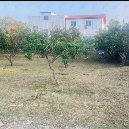 فروش زمین مسکونی 240 متر در ورامده در گروه خرید و فروش املاک در مازندران در شیپور-عکس1