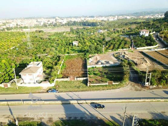 زمین 1600متری لب خط اصلی جاده نظامی در گروه خرید و فروش املاک در مازندران در شیپور-عکس1