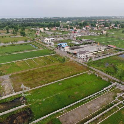 زمین مسکونی 200متری در ساحل منطقه آزاد در گروه خرید و فروش املاک در گیلان در شیپور-عکس1