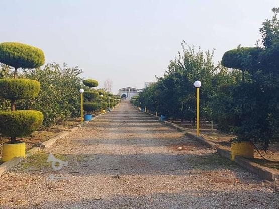 باغ مدرن سر جاده اصلی سرخرود به آمل 12200 متر در گروه خرید و فروش املاک در مازندران در شیپور-عکس1