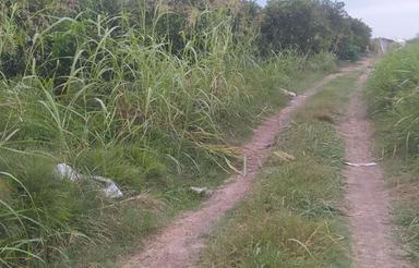 زمین کشاورزی 2500 متر در عربخیل