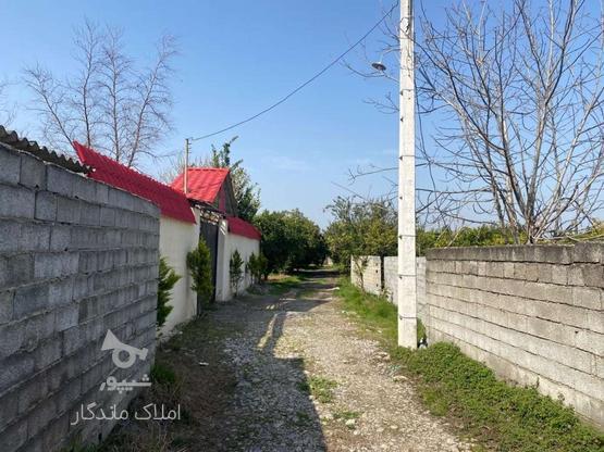 فروش زمین مسکونی 300 متر در جاده قائمشهر در گروه خرید و فروش املاک در مازندران در شیپور-عکس1
