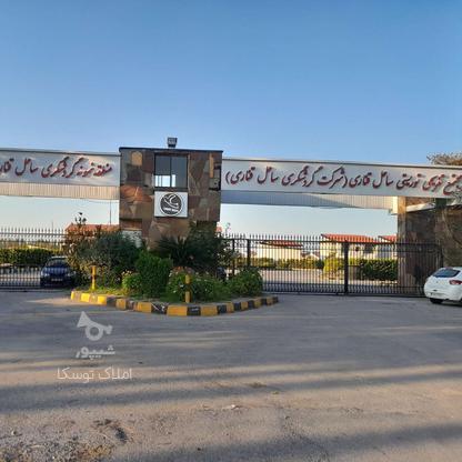 فروش زمین مسکونی 300 متر در چپکرود در گروه خرید و فروش املاک در مازندران در شیپور-عکس1