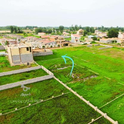 فروش زمین مسکونی 220 متر در چاف و چمخاله در گروه خرید و فروش املاک در گیلان در شیپور-عکس1