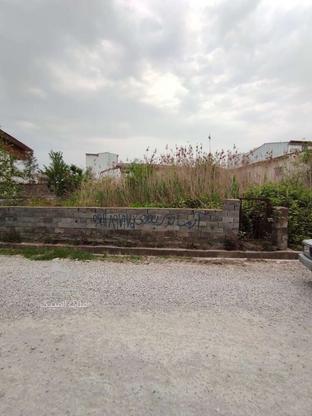 زمین مسکونی 455 متر در 17 شهریور چالوس در گروه خرید و فروش املاک در مازندران در شیپور-عکس1