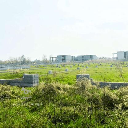 فروش زمین شهرکی اقساطی اقساط بدون بهره 237 متر در گروه خرید و فروش املاک در گیلان در شیپور-عکس1