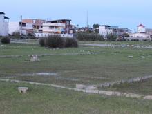 زمین مسکونی 200 متری در طوقدار در شیپور