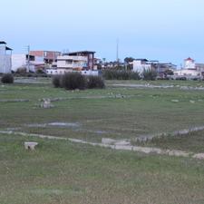 زمین مسکونی 200 متری در طوقدار