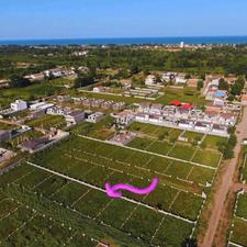 فروش زمین مسکونی 217 متر در مرکز شهر - چاف