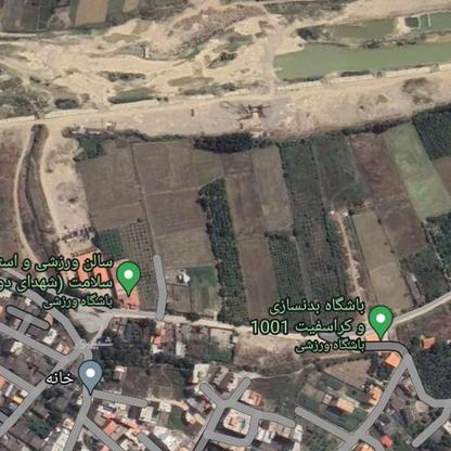 فروش زمین مسکونی 4500 متر در جوادیه در گروه خرید و فروش املاک در مازندران در شیپور-عکس1